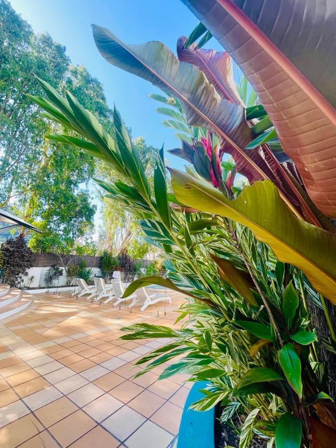 Beachview Apartments At Villa Paradiso Palm Cove Exteriör bild